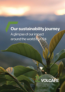 Our sustainability journey cover image