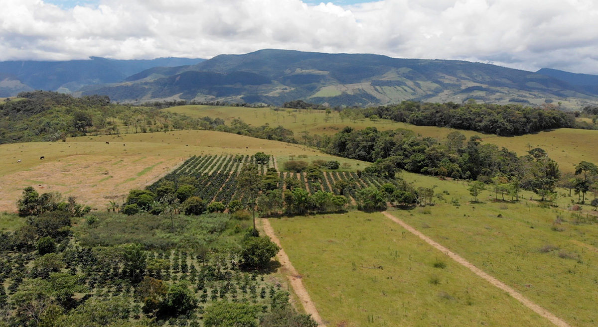 Aerial view of nature corridor