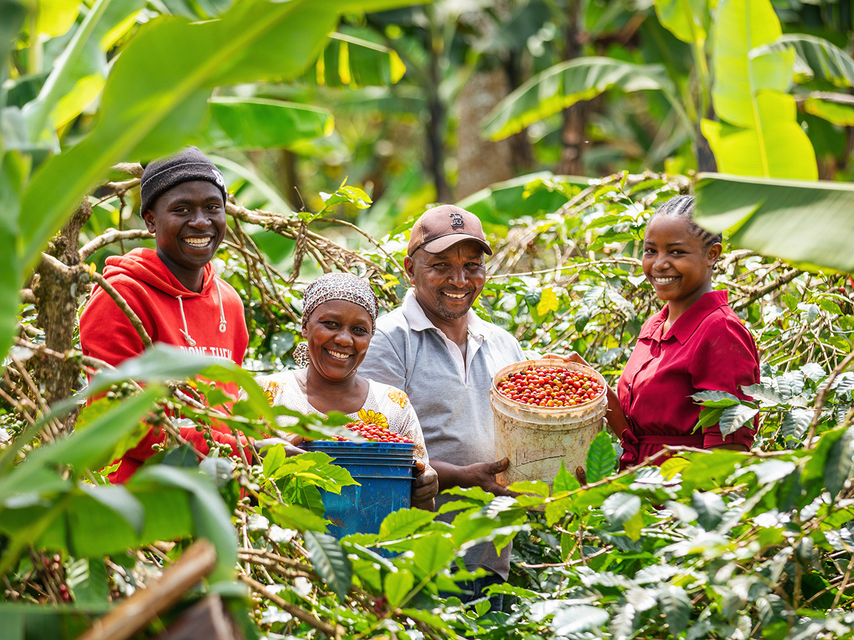 Coffee farmers in Tanzania