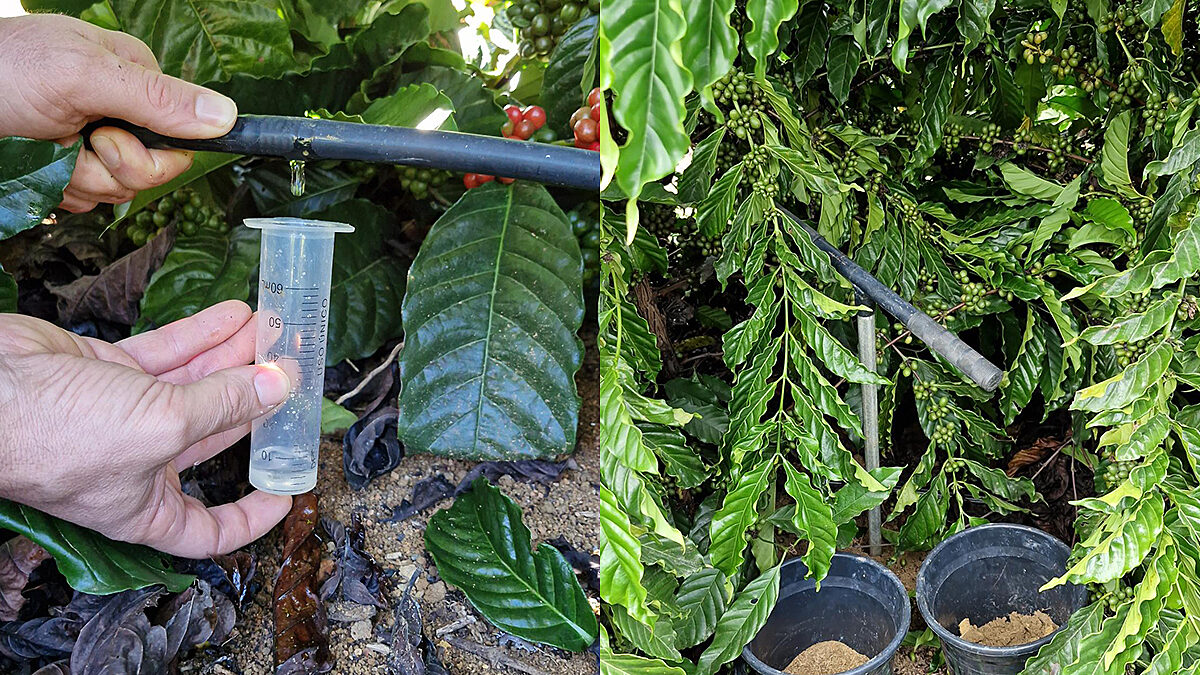 image missing ALT text