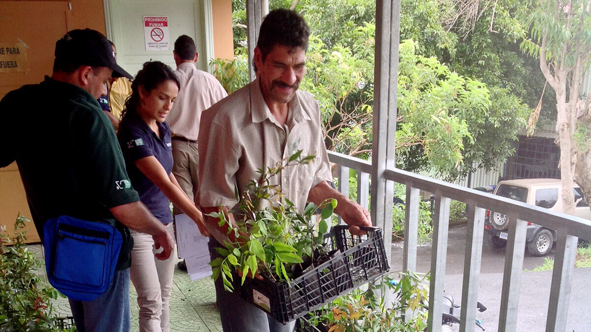 Sorting native saplings for delivery to coffee farmers.