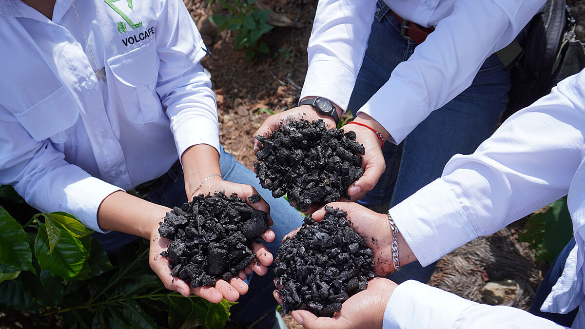 image missing ALT text