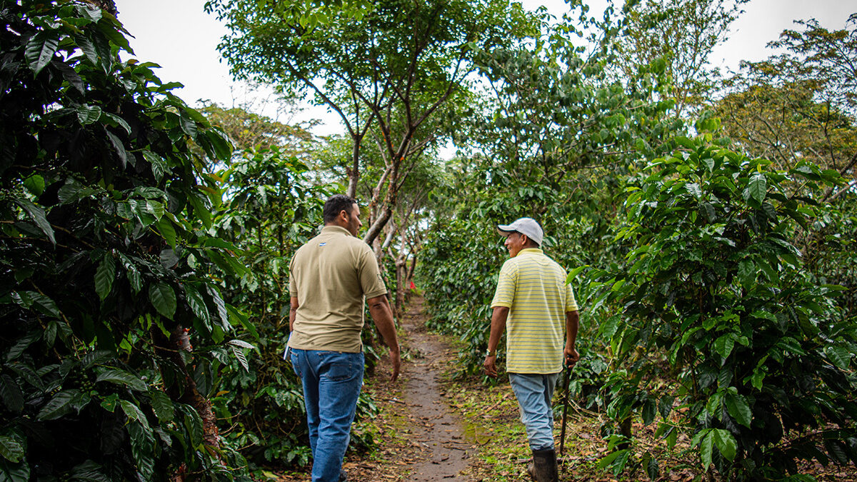 People at a coffee farm in Honduras