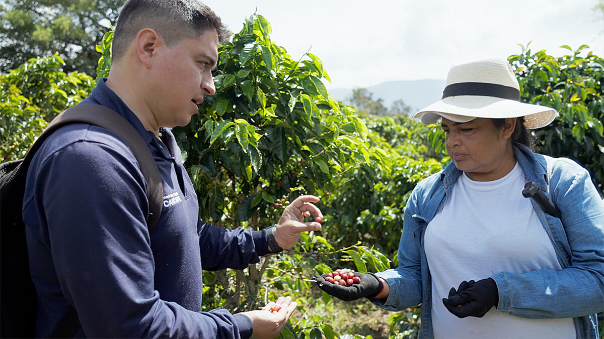 Still photo from Volcafe Way film about farmer Jaide in Colombia