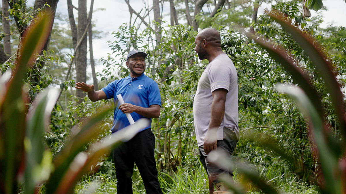 Still photo from Volcafe Way film about farmer Peter in Papua New Guinea