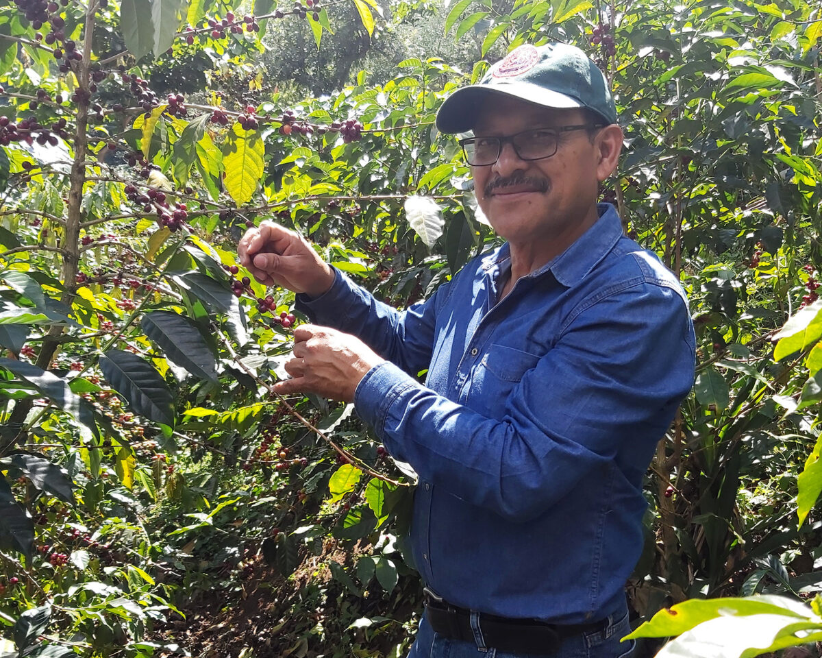 Mauricio Rosales