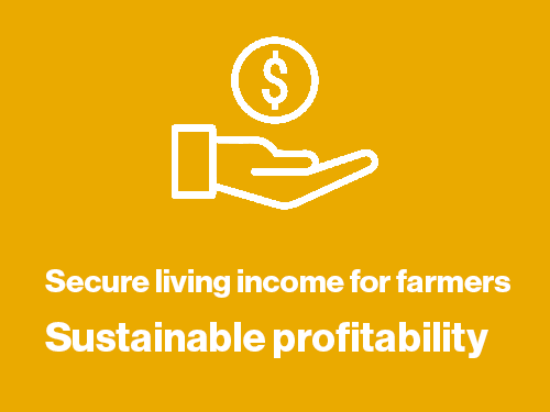 Icon for Sustainable profitability: secure living income for farmers