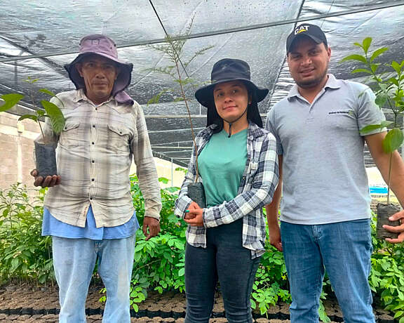 Reforestation project in Honduras - Volcafe