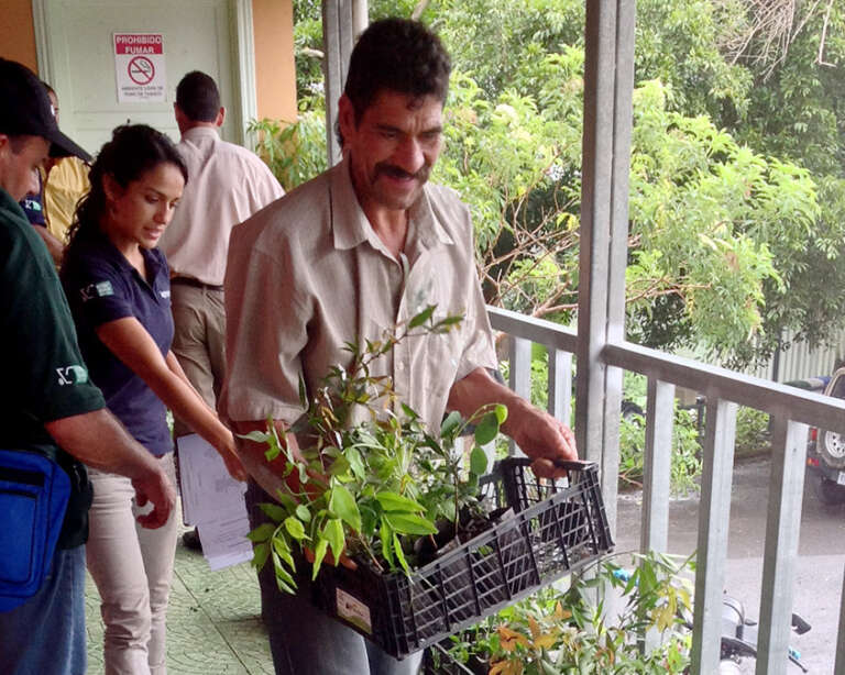 Sorting native saplings for delivery to coffee farmers.