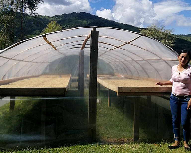 A woman stands beside a new solar dryer in Peru