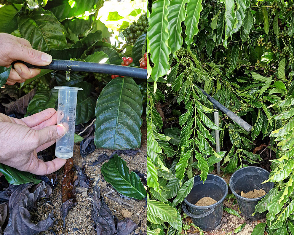 image missing ALT text