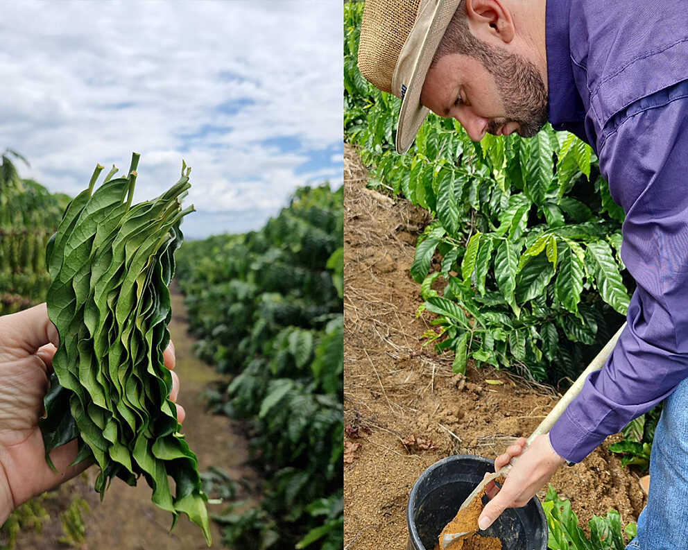 image missing ALT text