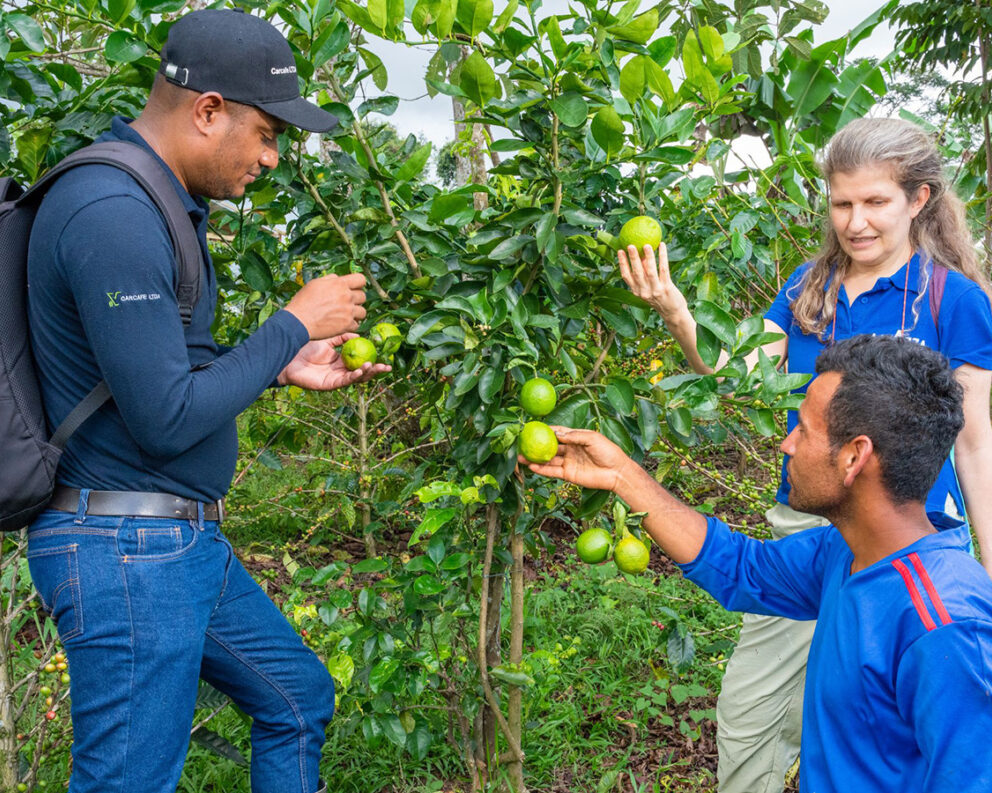 Volcafe Way advisors speak with a farmer about agroforestry