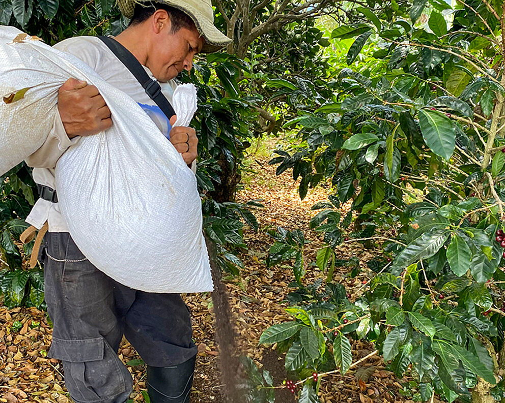 image missing ALT text