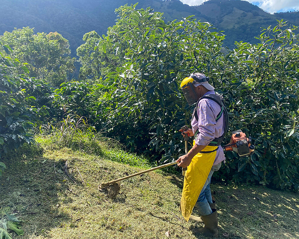 image missing ALT text