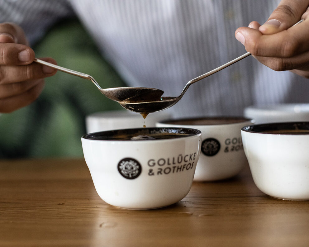 Cupping at Gollücke & Rothfos