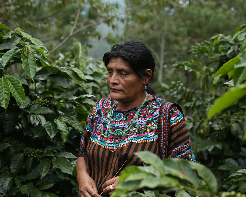 Guatemalan coffee farmer from La Morena project