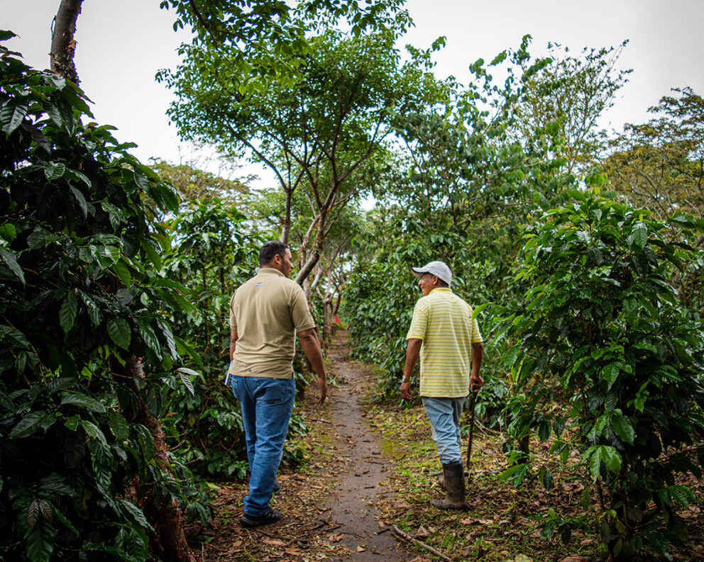People at a coffee farm in Honduras