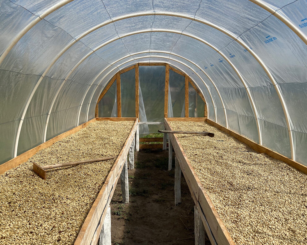 Interior of a solar dryer