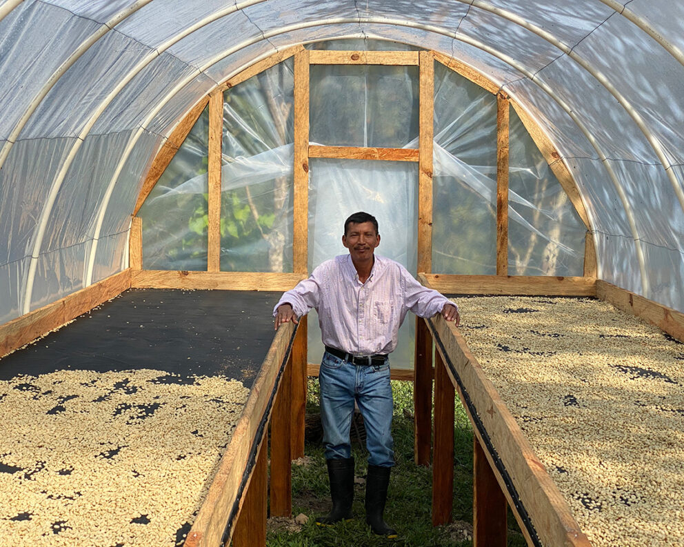 Farmer inside solar dryer