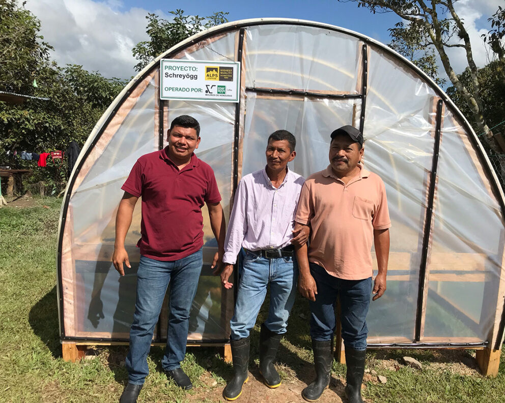 One of the newly inaugurated solar dryers