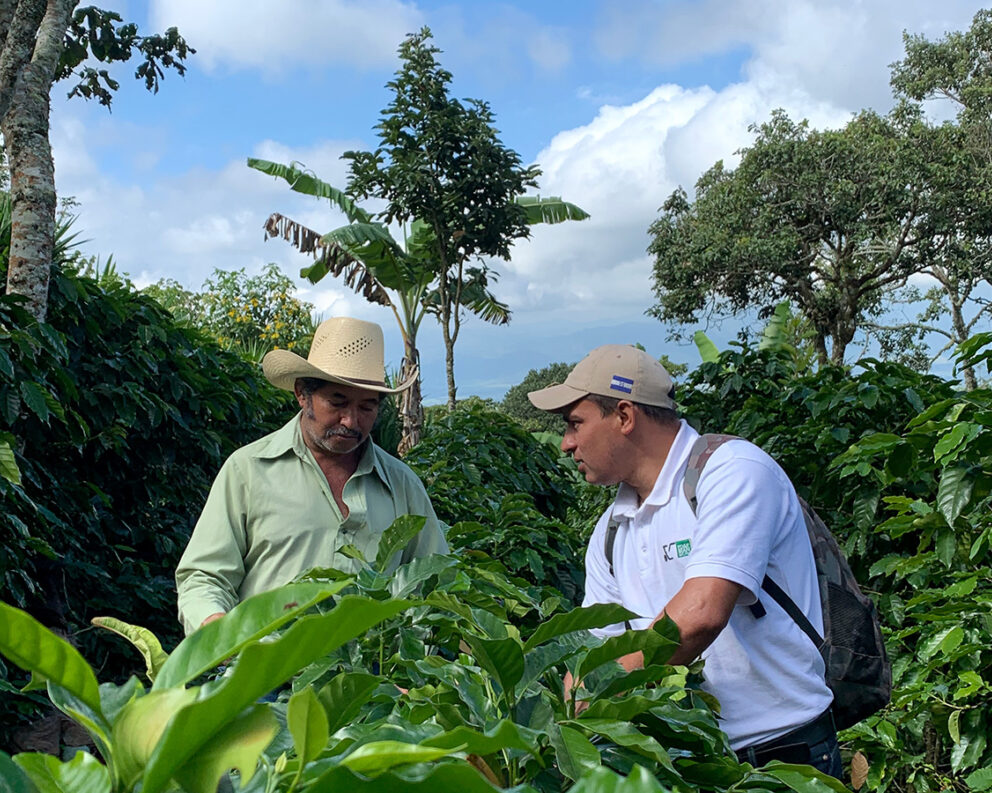 A Volcafe Way field advisor speaks with a farmer