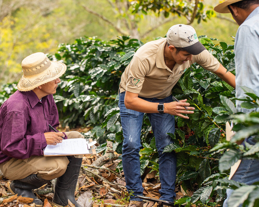 A Volcafe Way advisor speaks with farmers