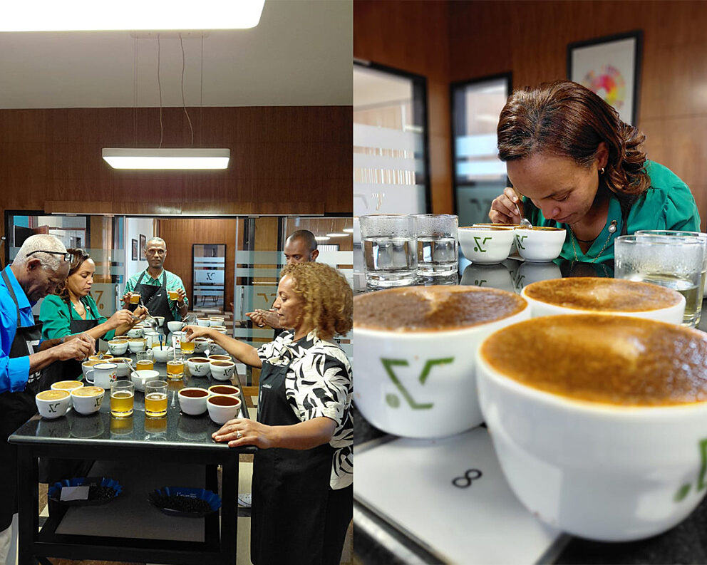 image missing ALT text