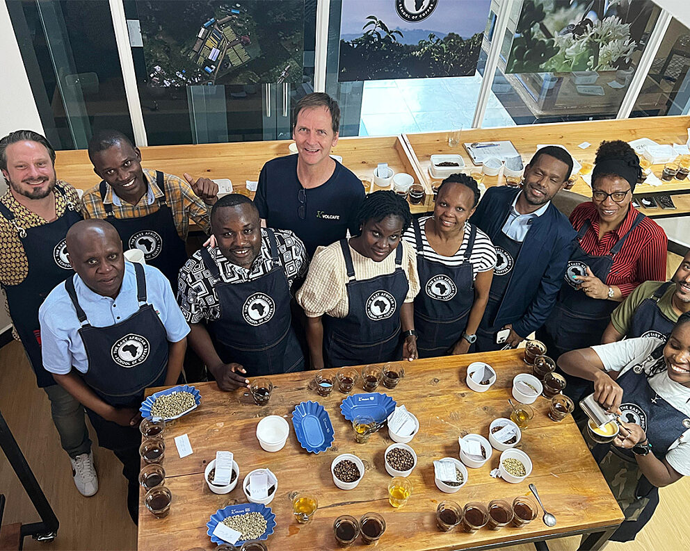 image missing ALT text