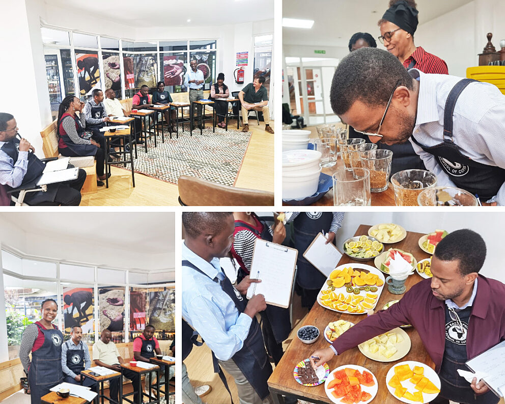 image missing ALT text