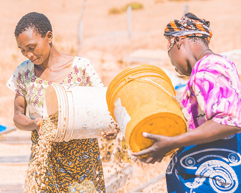 Farmers pour washed beans at Iyenga AMCOS, Tanzania