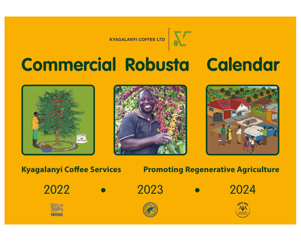 Cover of commercial robusta calendar