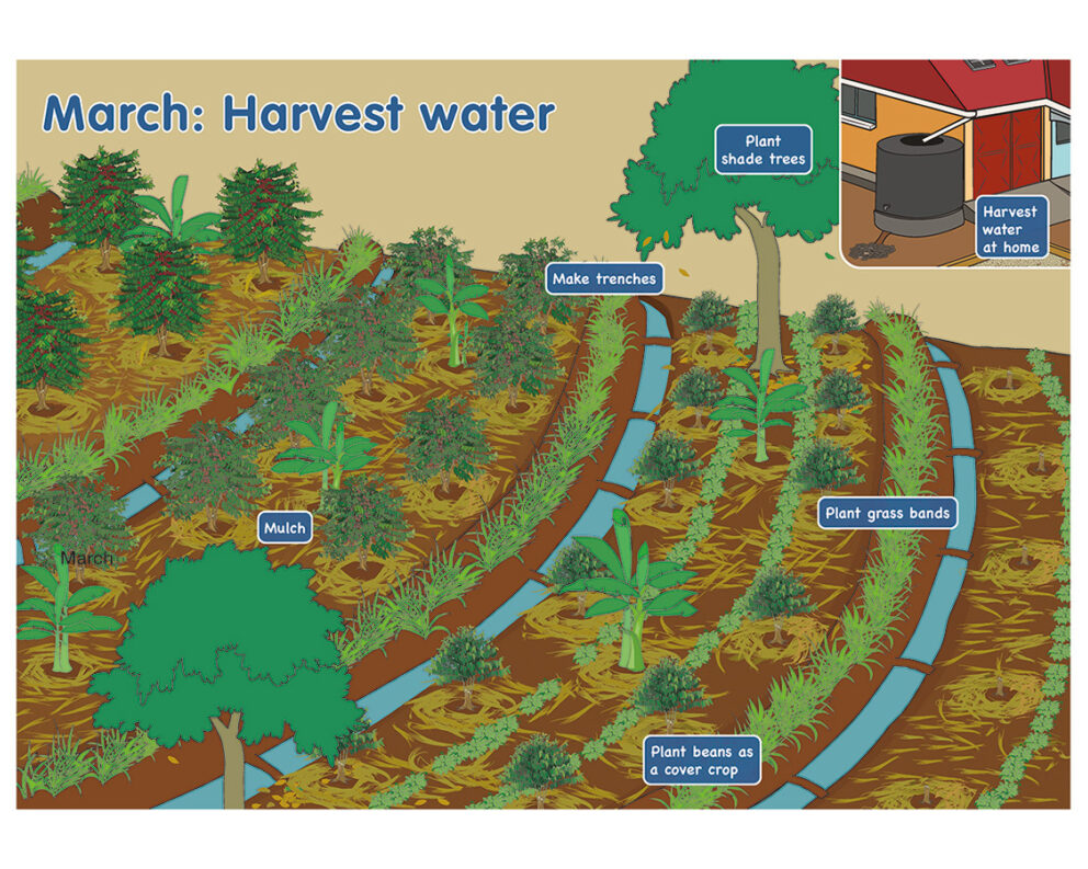 An illustration from the calendar emphasising water conservation techniques