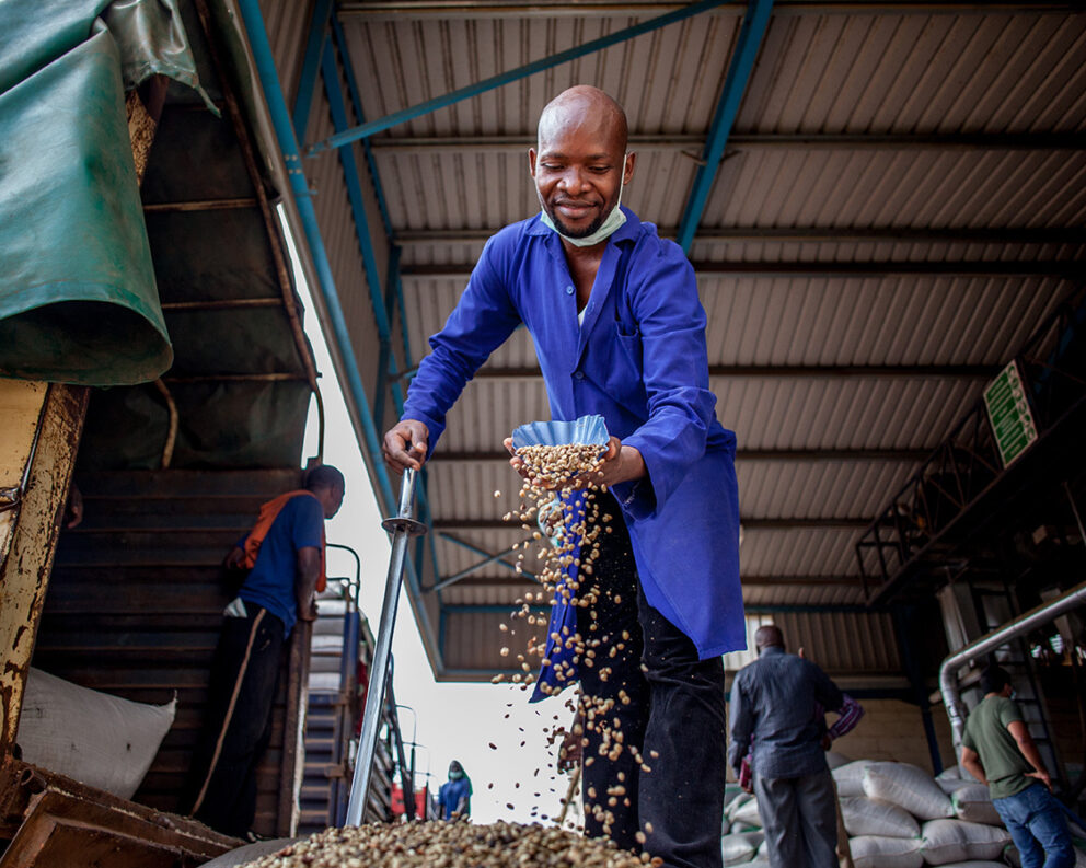 Sampling delivered coffee in Uganda