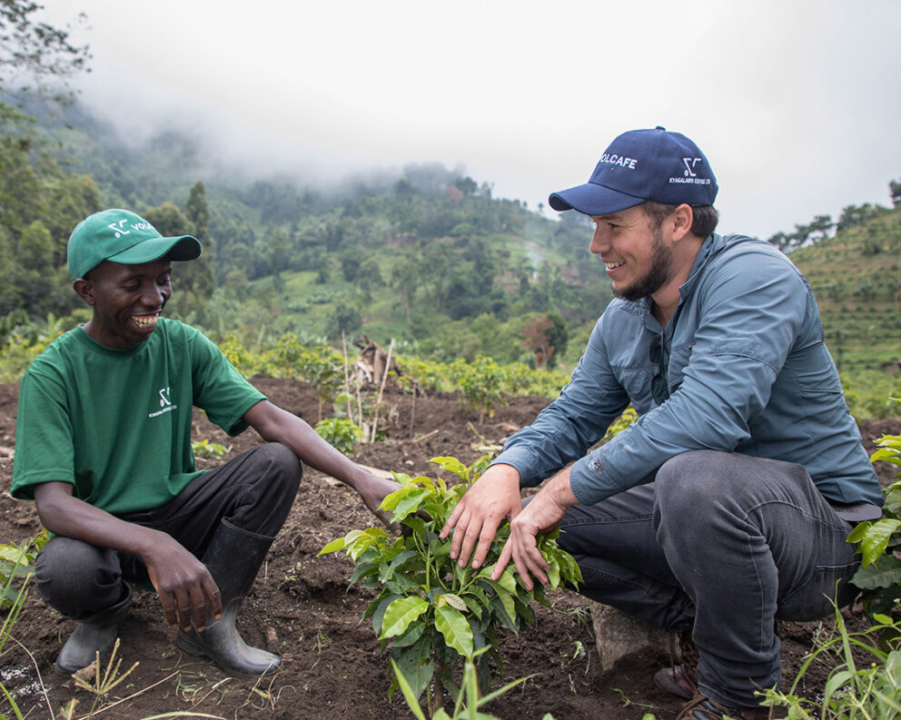 A new coffee plant in Uganda