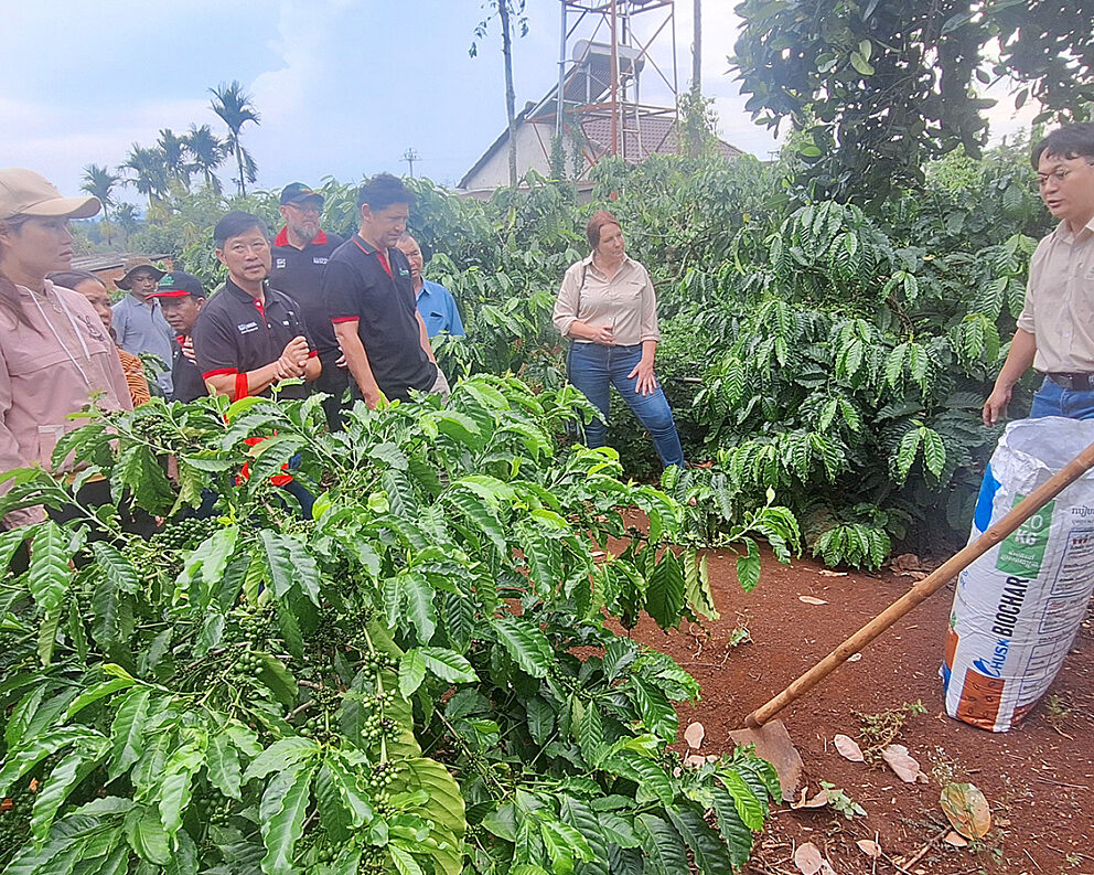 Using biochar with coffee plants in Vietnam