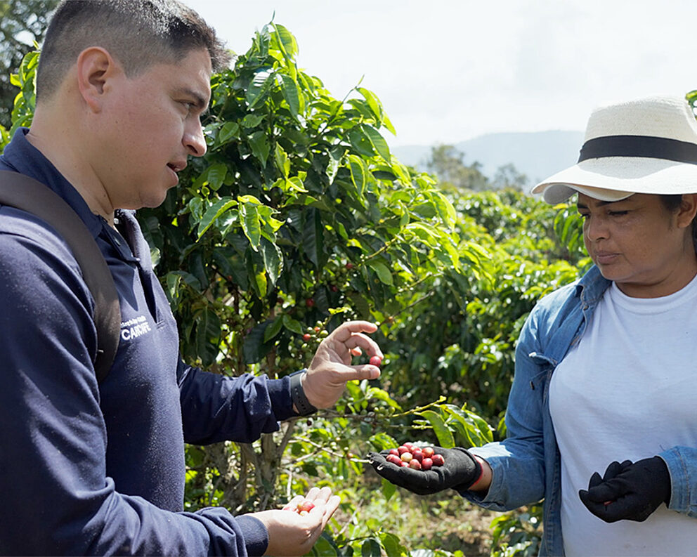 Still photo from Volcafe Way film about farmer Jaide in Colombia