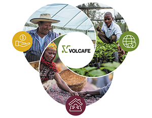 Volcafe Sustainability Strategy graphic